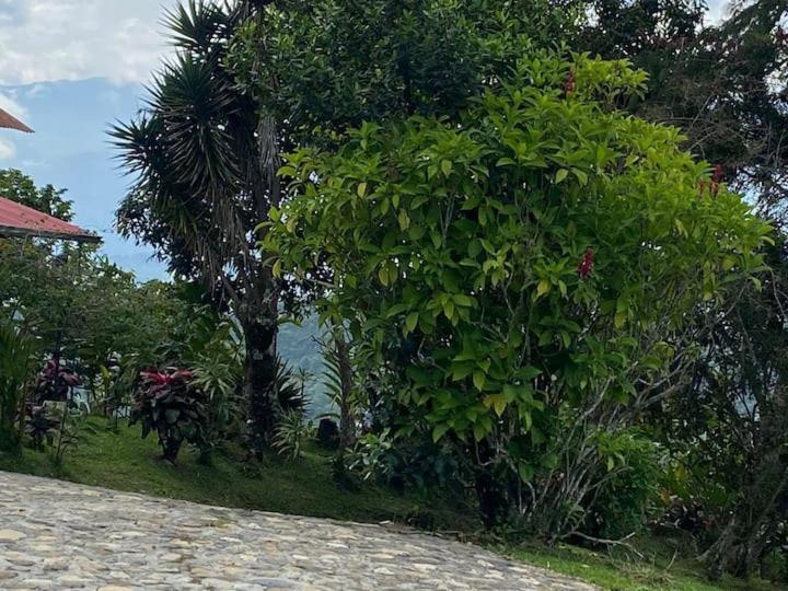 La Vistosa Casa de Férias *